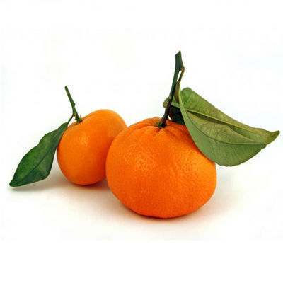 Mandarinas de Valencia